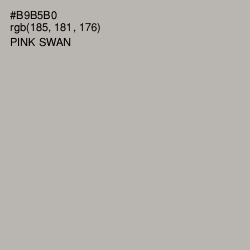 #B9B5B0 - Pink Swan Color Image